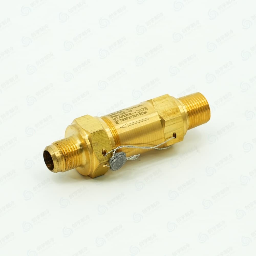 CARR*IER 00PSY110019902 Spring‑Loaded Safety Relief Valve