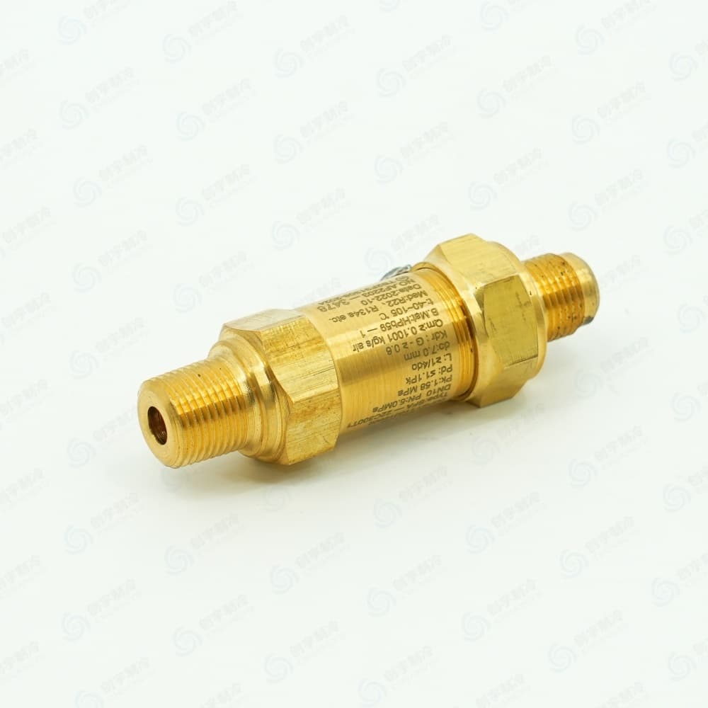 CARR*IER 00PSY110019902 Spring‑Loaded Safety Relief Valve