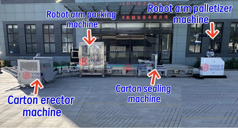 Suzhou Yangbang Machinery Full Automatic End-of-Line Packaging Line Project Case (Unpacking, Packing, Sealing, Palletizing)