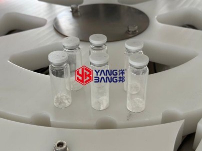 Filling machine original_1784286862936700752550354944.png