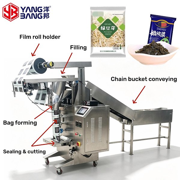 YB-450LD Hot Sale Factory Price Chain Bucket Packaging Alfalfa Sprouts Bean Sprouts Packaging Machine Stainless Steel