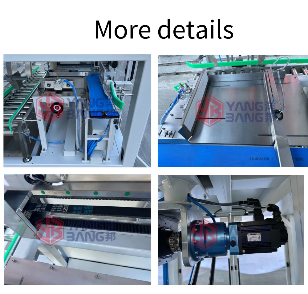 packing line 1788872798955935561986084864.png@!w400