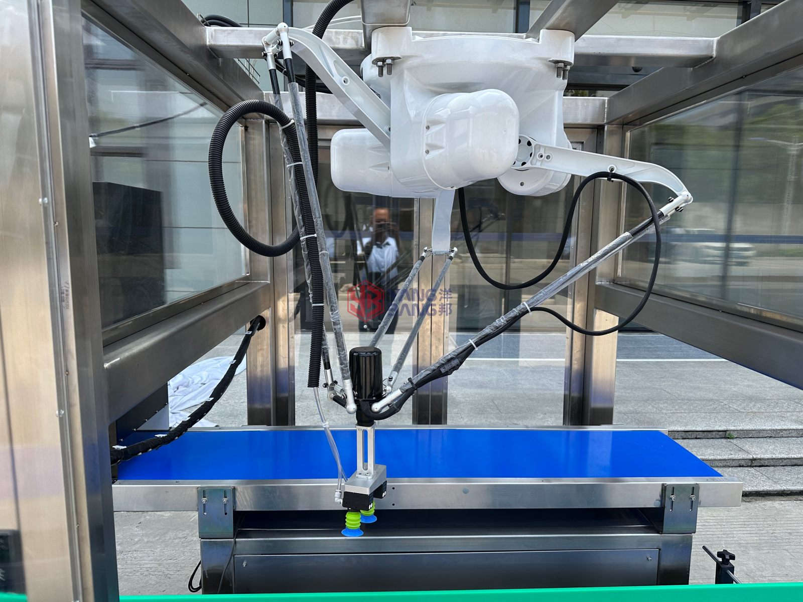 YB-ZXD1 Automatic Hot Sale Soft Bags Bread Bags Packing Machinery Case Packer High Speed Packer Parallel Robot