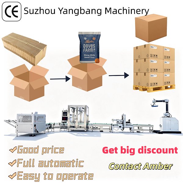 YB-ZXA Automatic Pouch Case Packer Bag in Box Packing Machine for Daily Necessities and Food Pouch Secondary Packaging