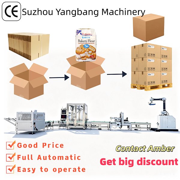 YB-ZXA Automatic Pouch Case Packer Bag in Box Packing Machine for Daily Necessities and Food Pouch Secondary Packaging