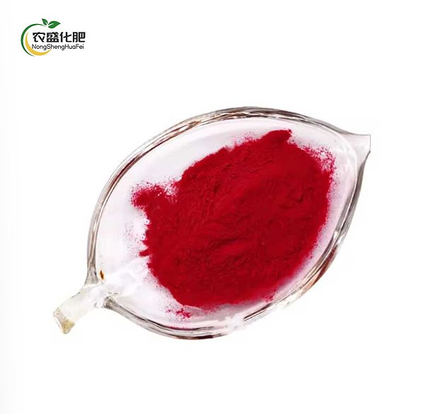 Beet Red