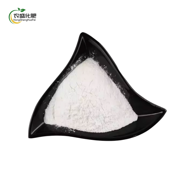 L-Glutamic Acid