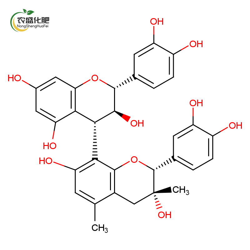 Grape Seed Extract