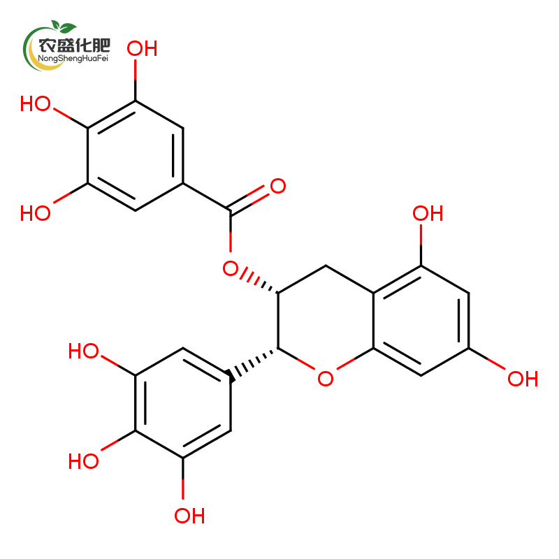 (-)-Epigallocatechin gallate