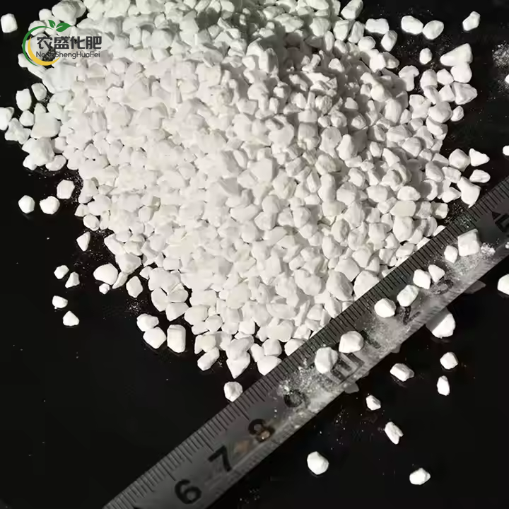 SOP