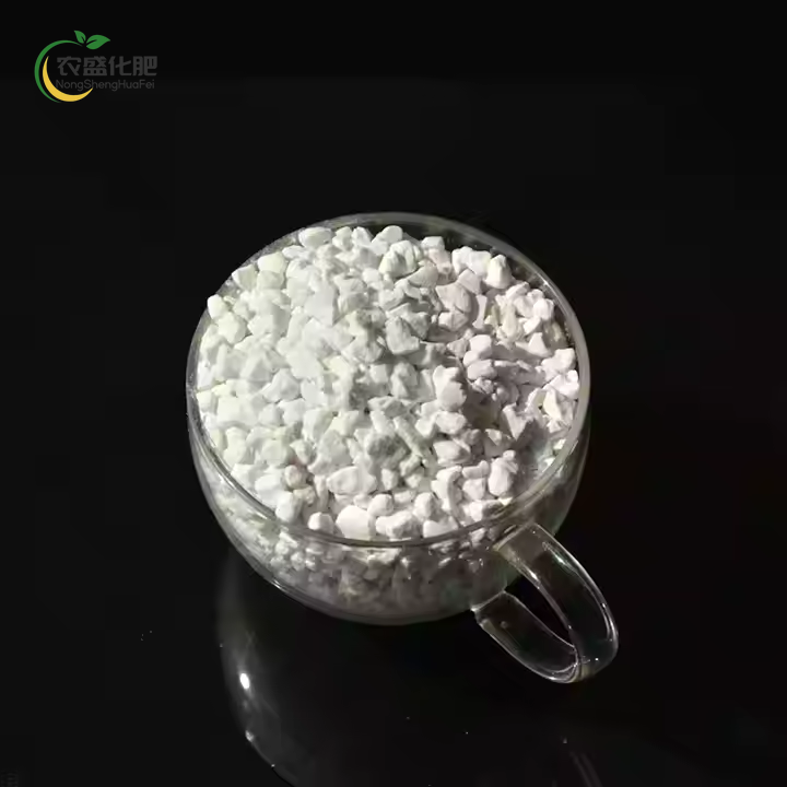 SOP