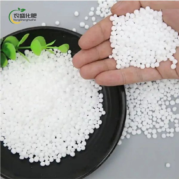 Urea Urea