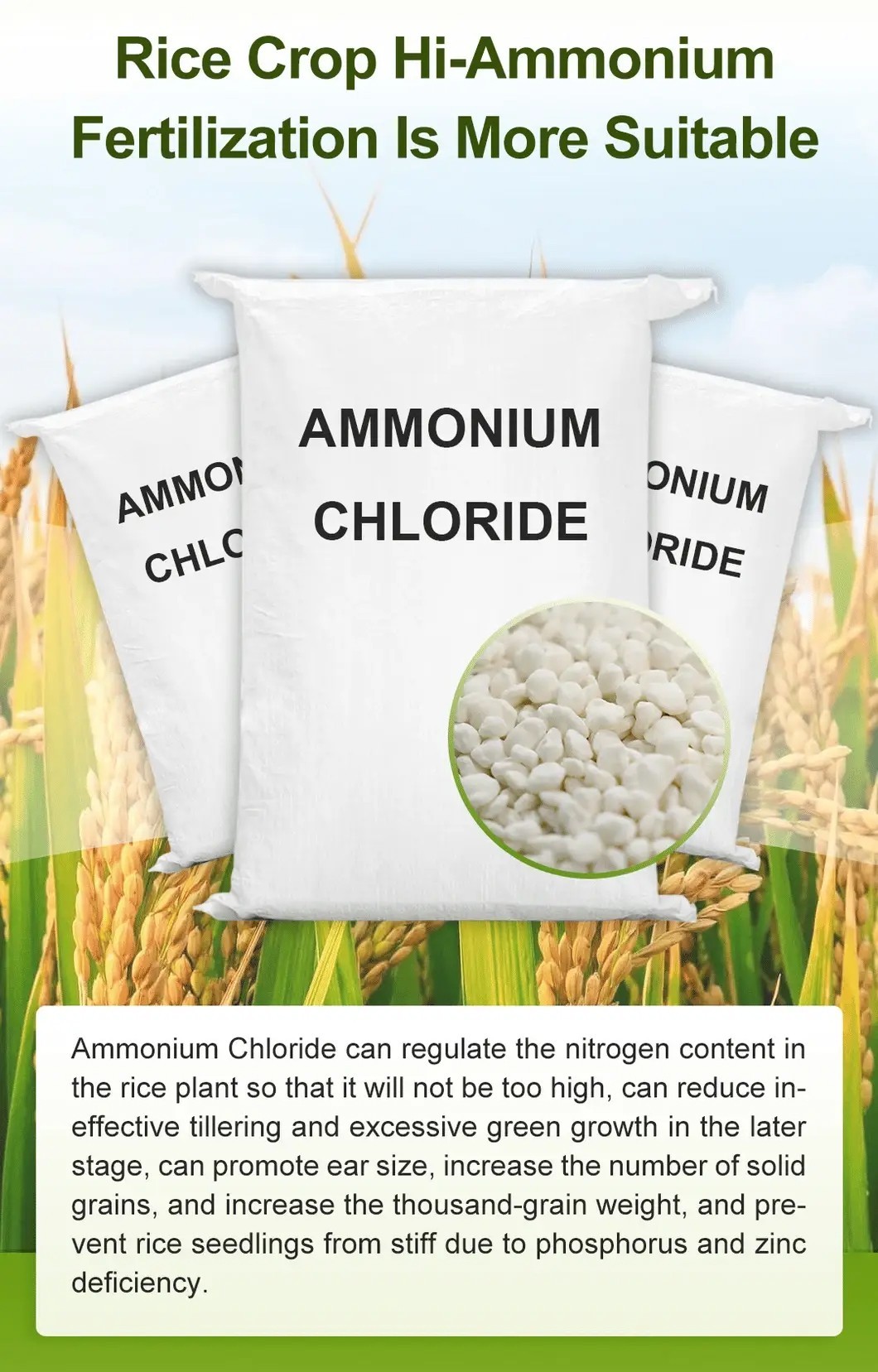 Ammonium Chloride3 Ammonium Chloride3