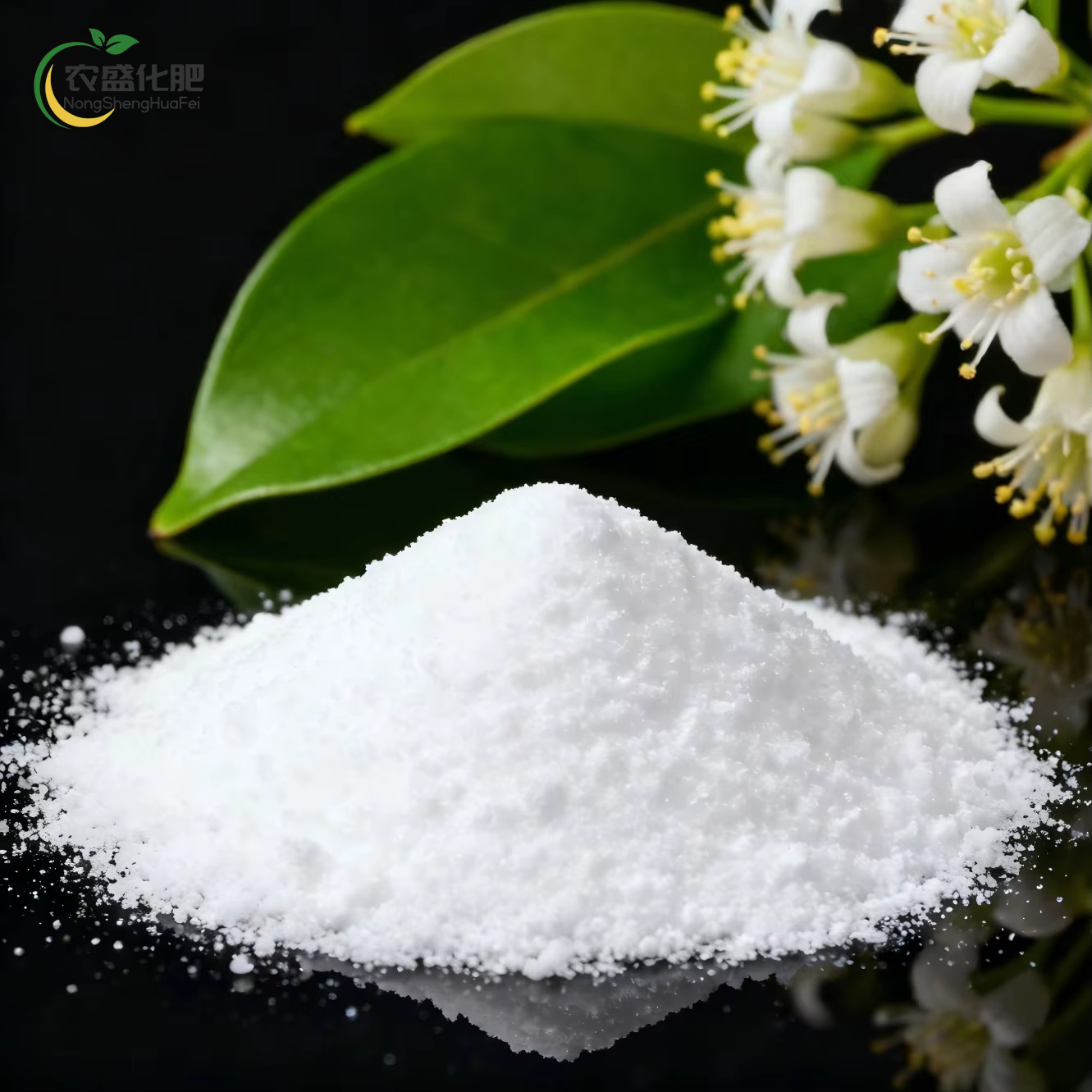 Magnesium sulfate monohydrate