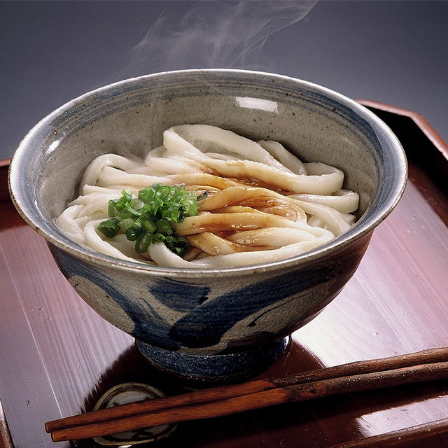 Udon fresco en paquete variado Fideos instantáneos bajos en grasa Certificados Kosher Hechos a mano
