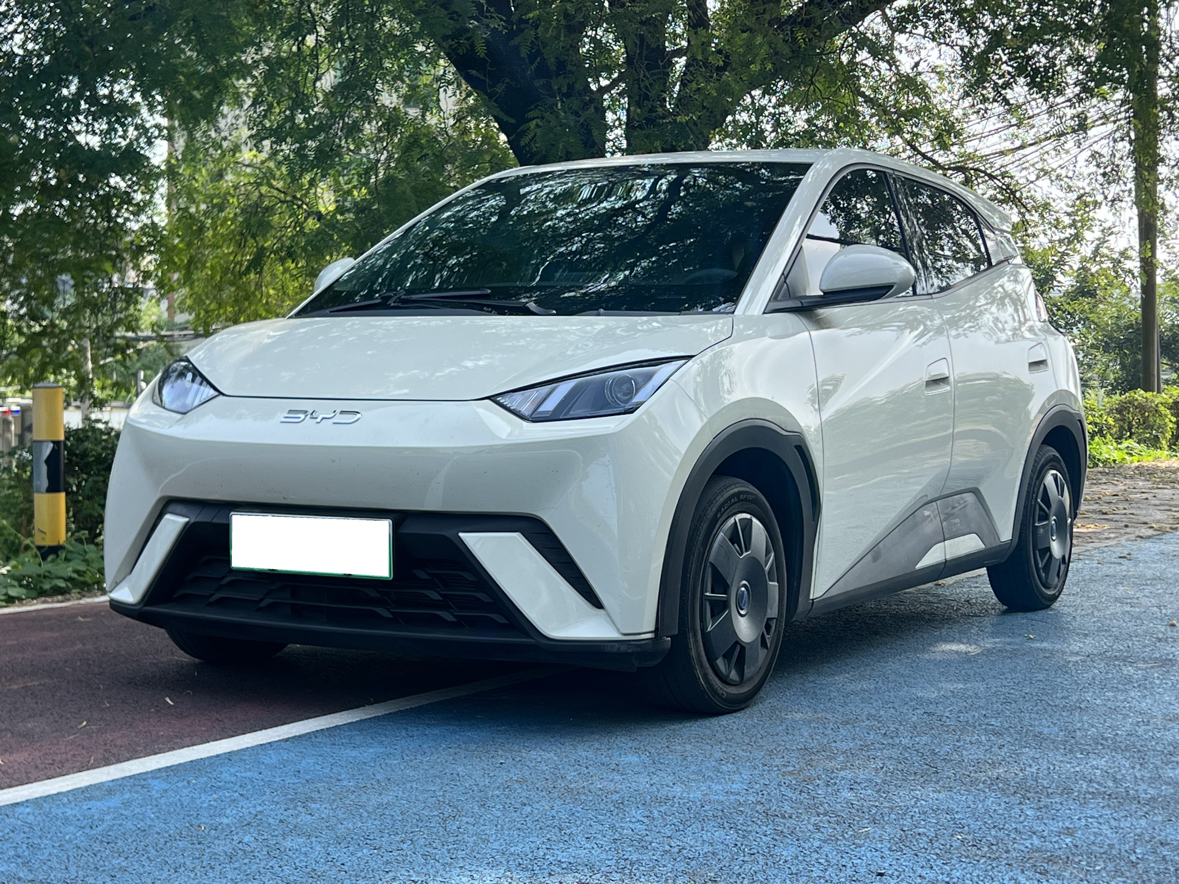 2024 BYD Seagull Vitality Edition
