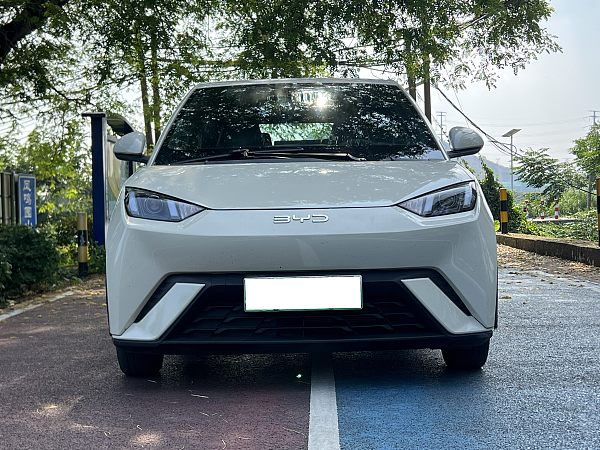 2024 BYD Seagull Vitality Edition