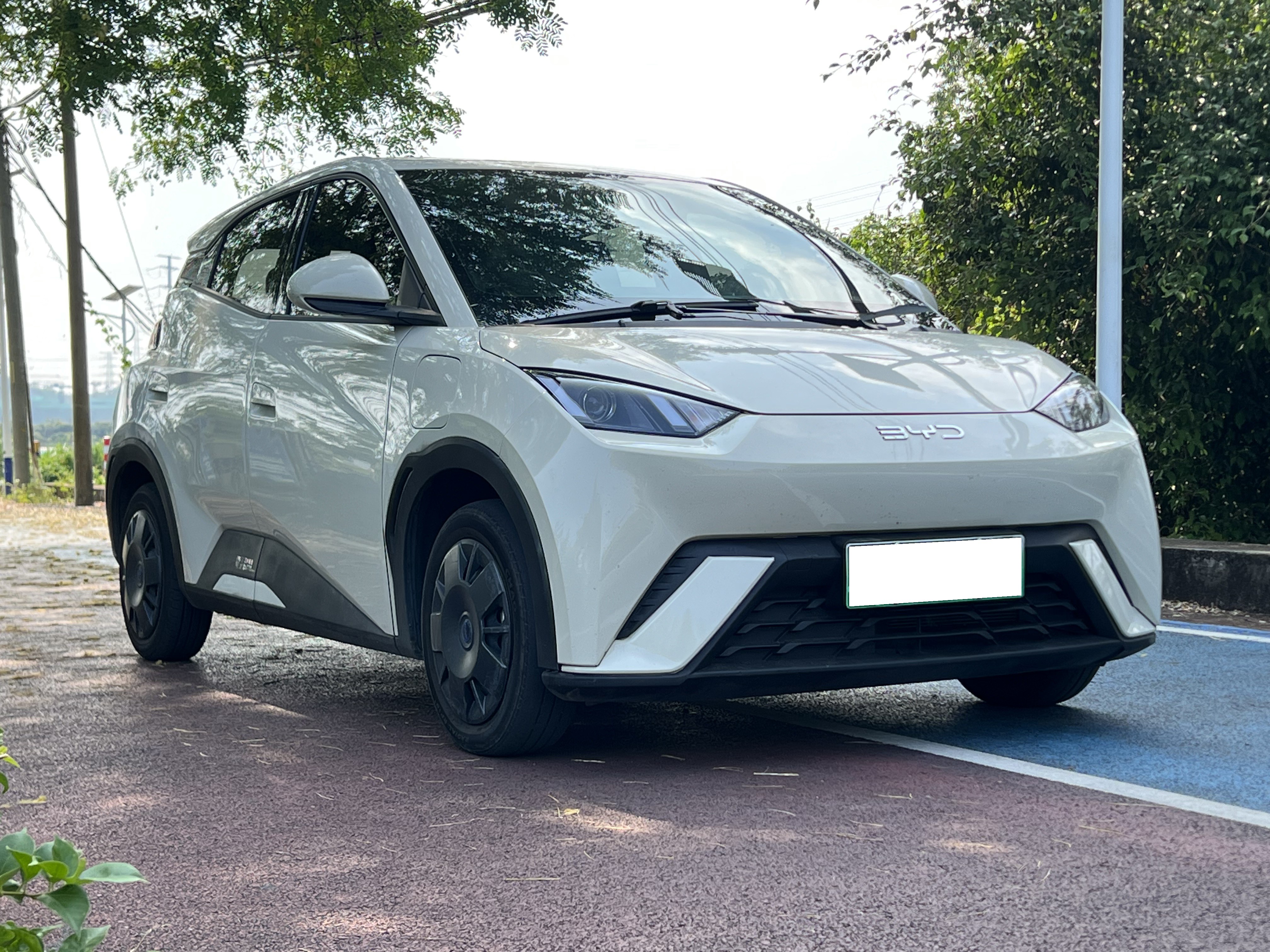 2024 BYD Seagull Vitality Edition