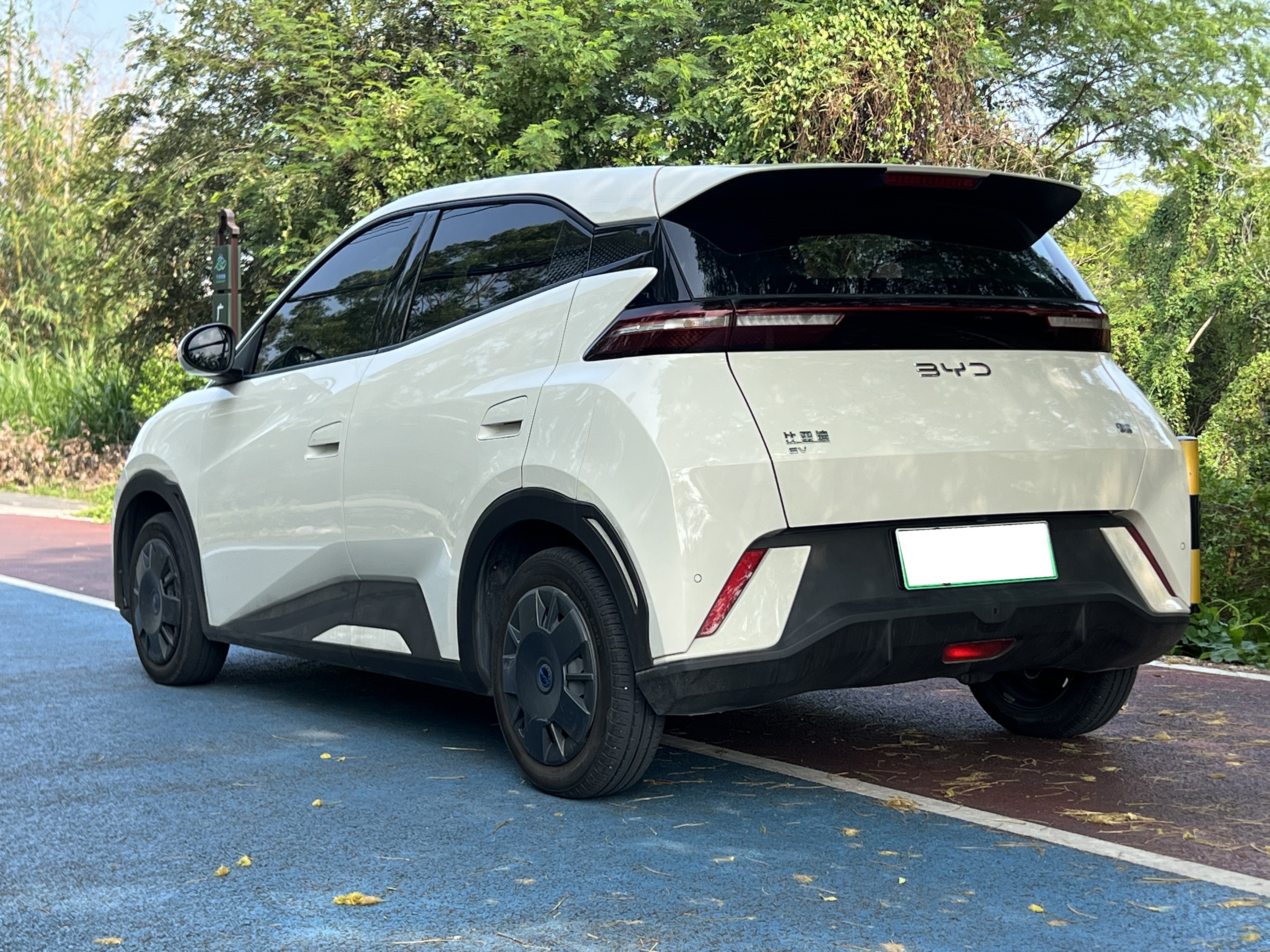 2024 BYD Seagull Vitality Edition