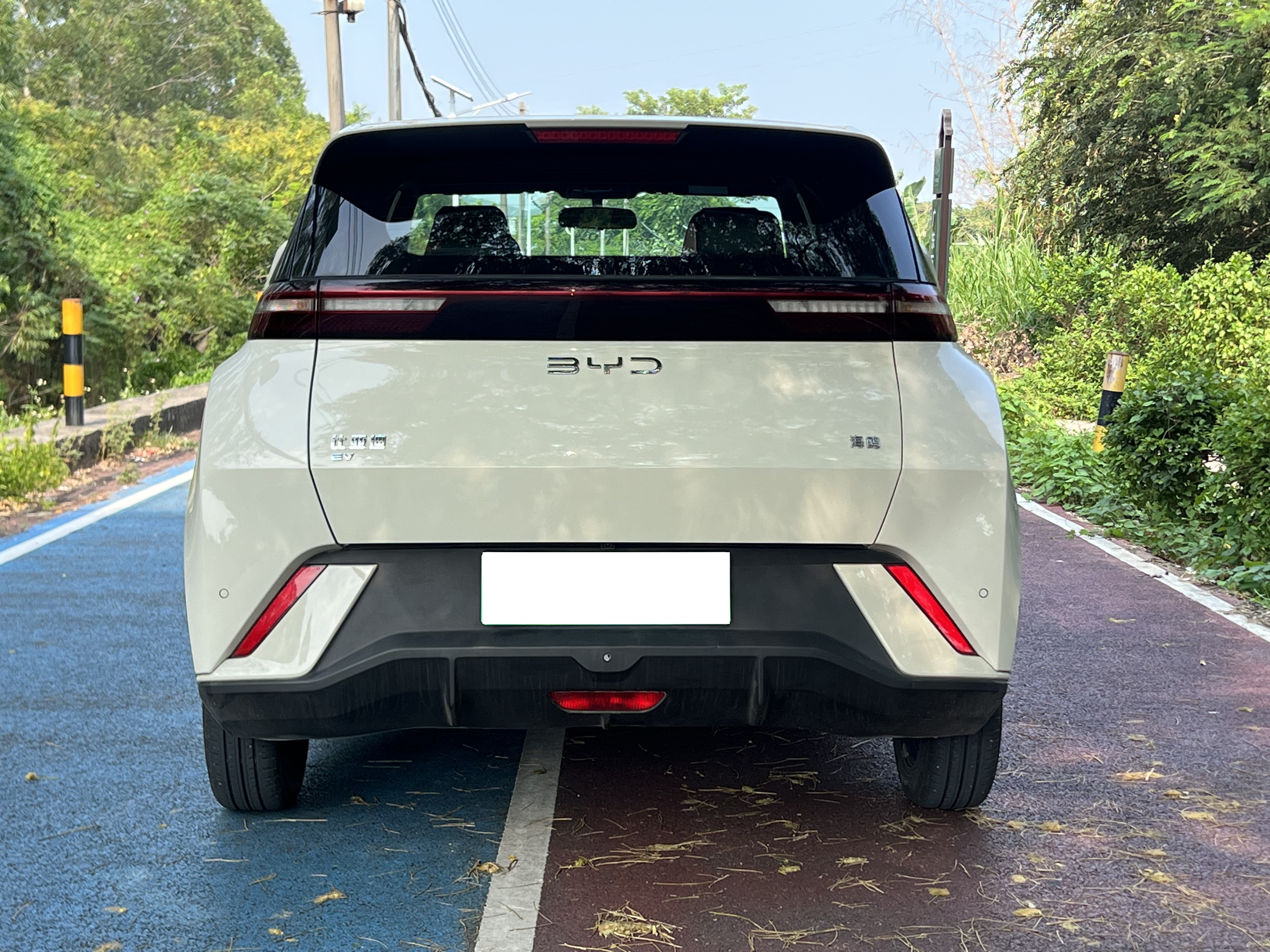 2024 BYD Seagull Vitality Edition
