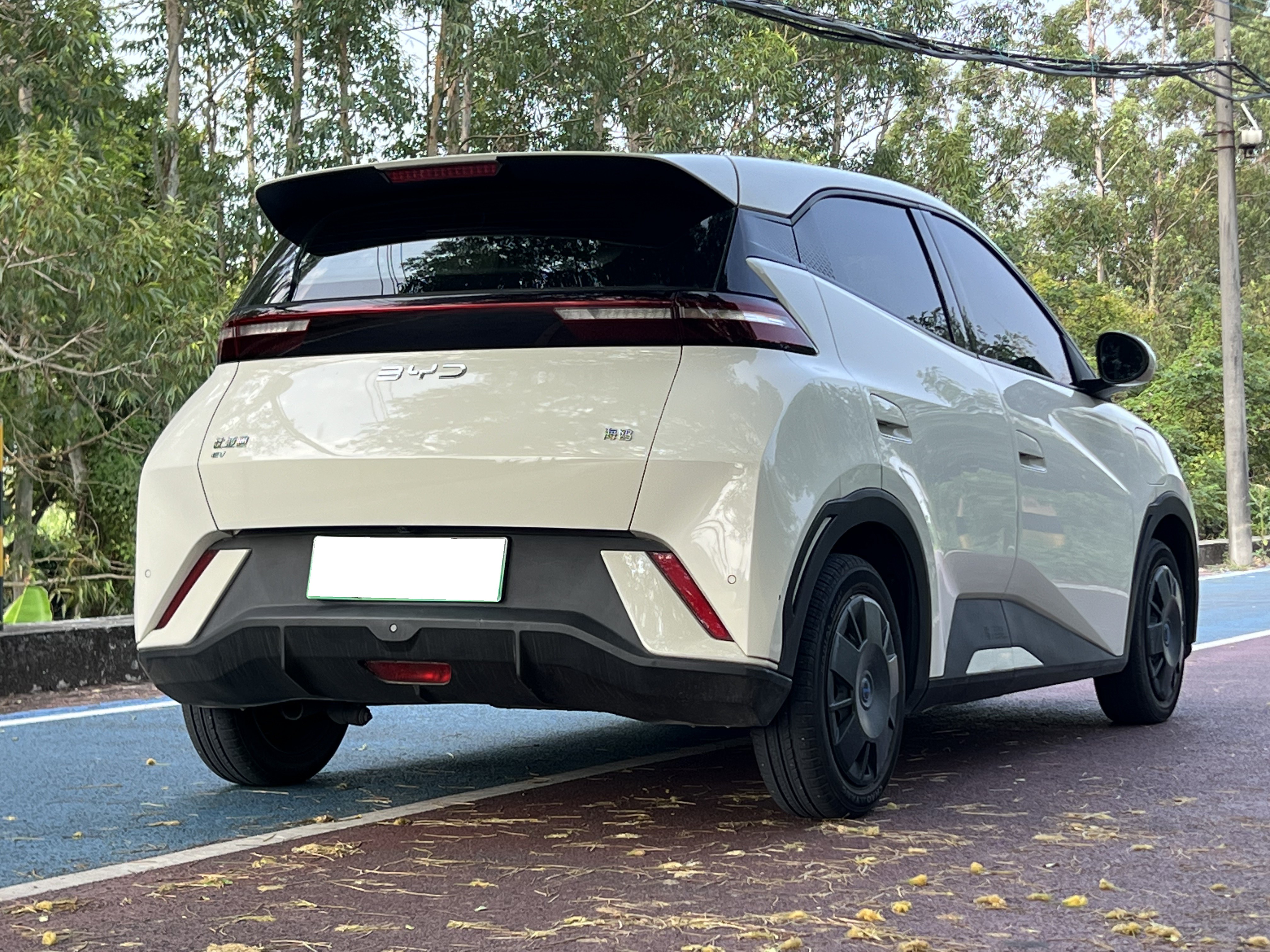 2024 BYD Seagull Vitality Edition