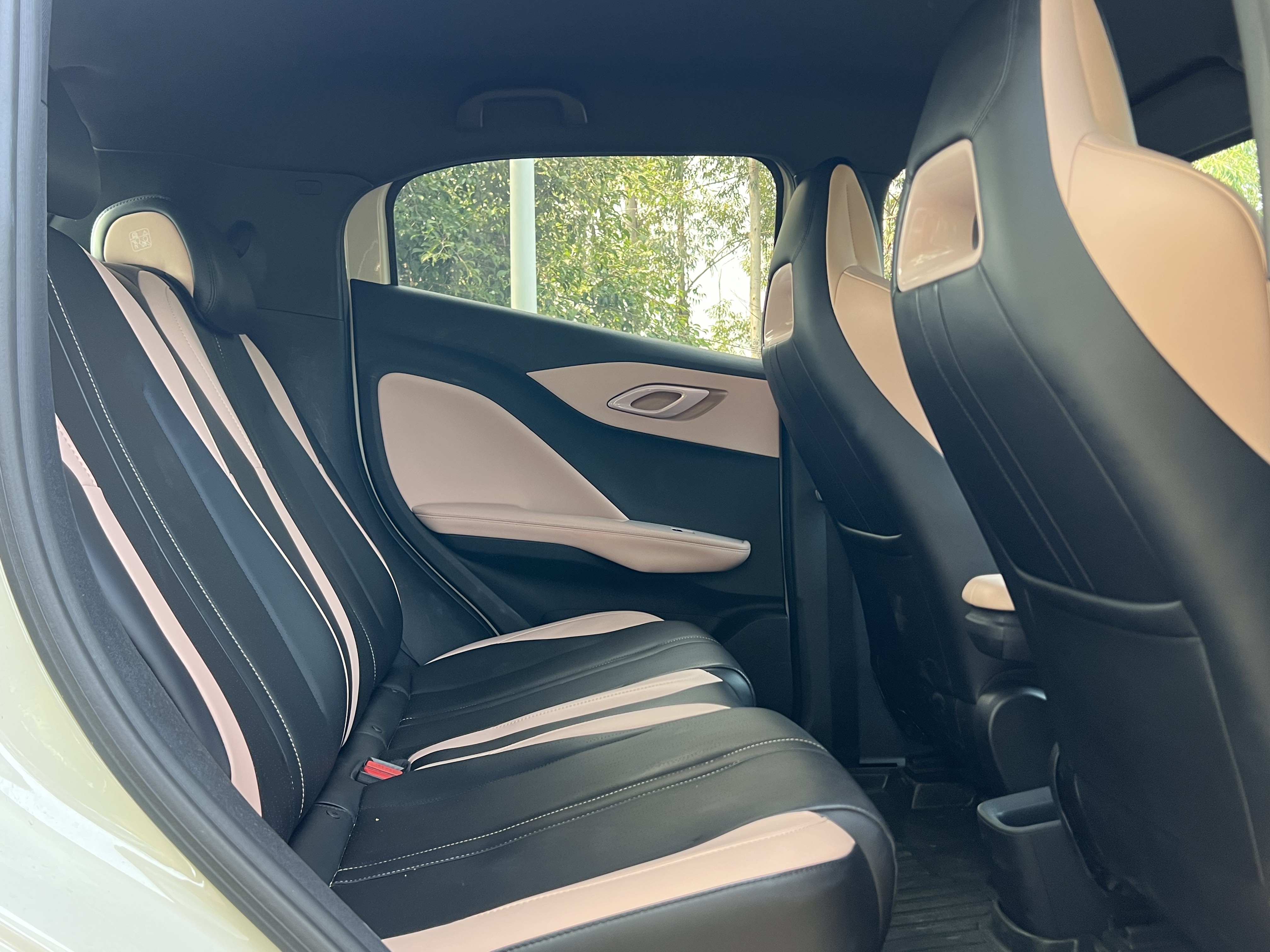 2024 BYD Seagull Vitality Edition