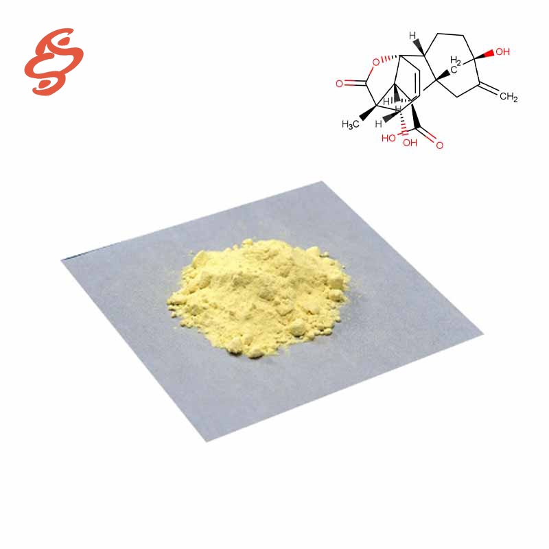 Ginkgo-biloba-Extrakt CAS#90045-36-6