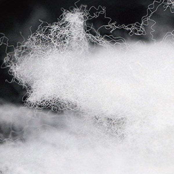 3D _ 7D polyester fiber