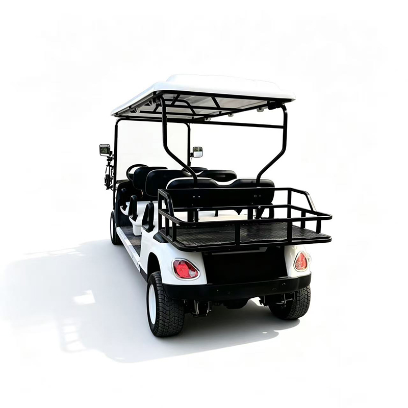 DLEV-A6