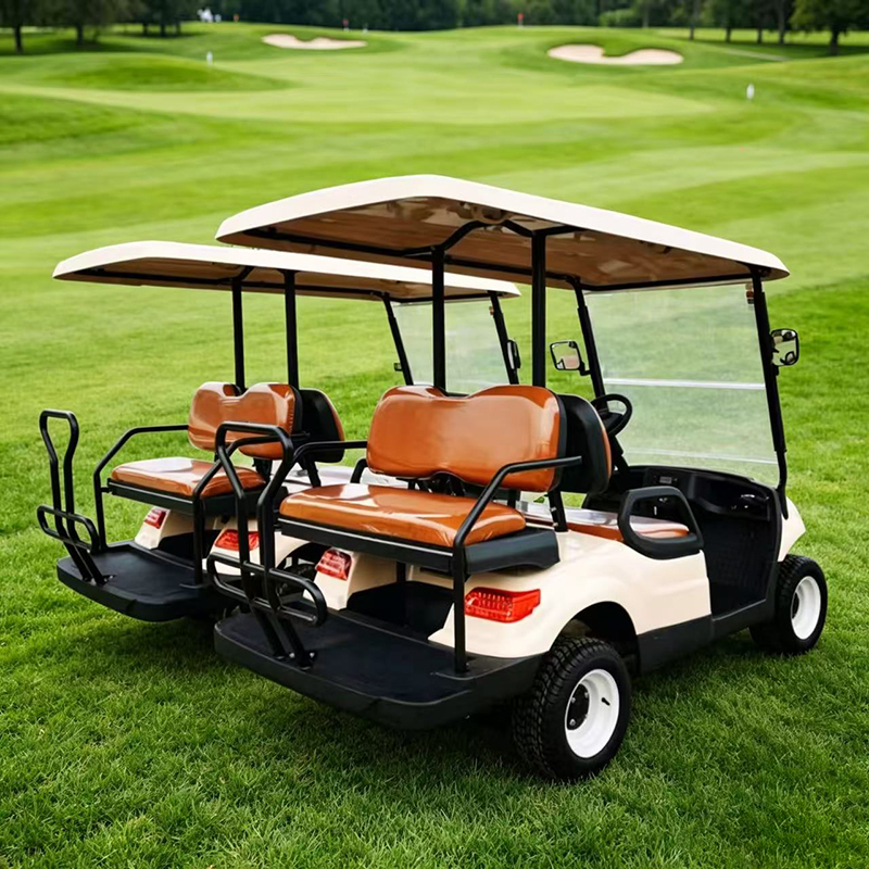 DLEV-C- 2+2 seats.