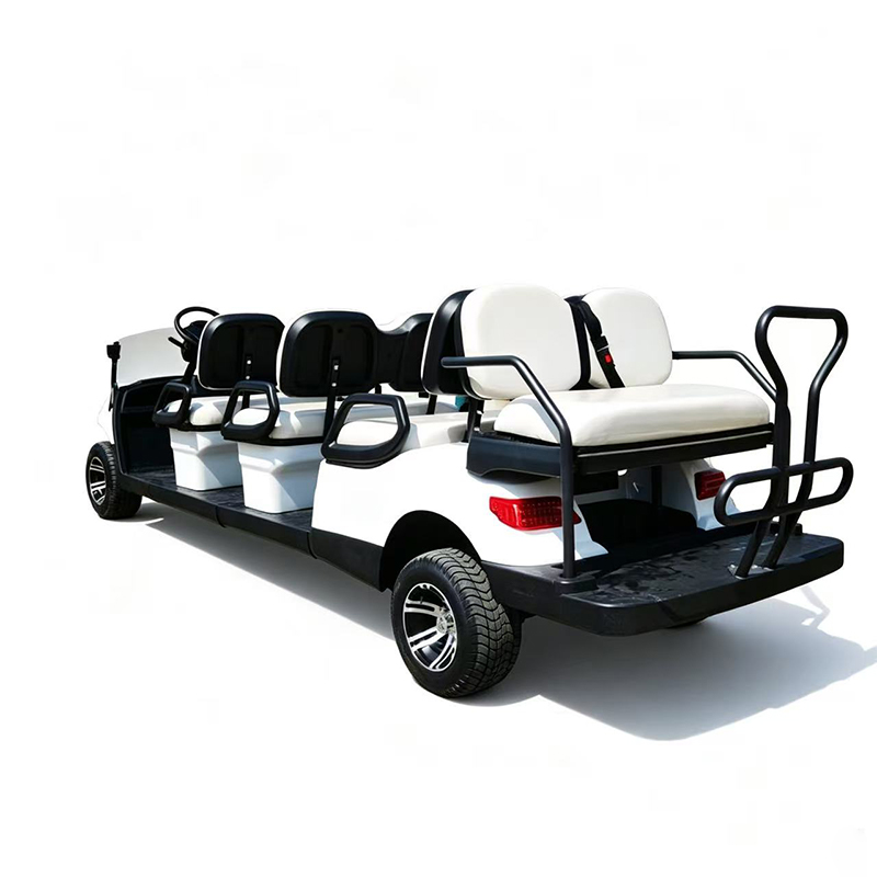 DLEV-C-6+2