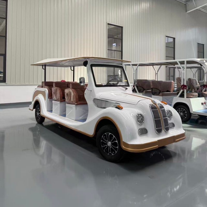 DLEV-LD11
