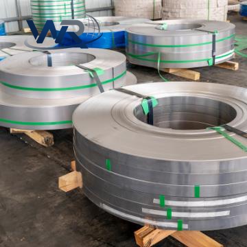 310 Stainless Strip