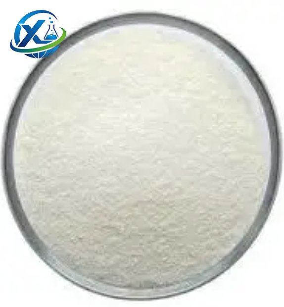 Pre-gelatinized starch