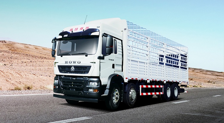 Camion de marchandises HOWO TX 8×4