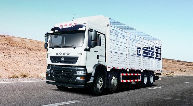 HOWO TX 8×4 cargo truck (2)