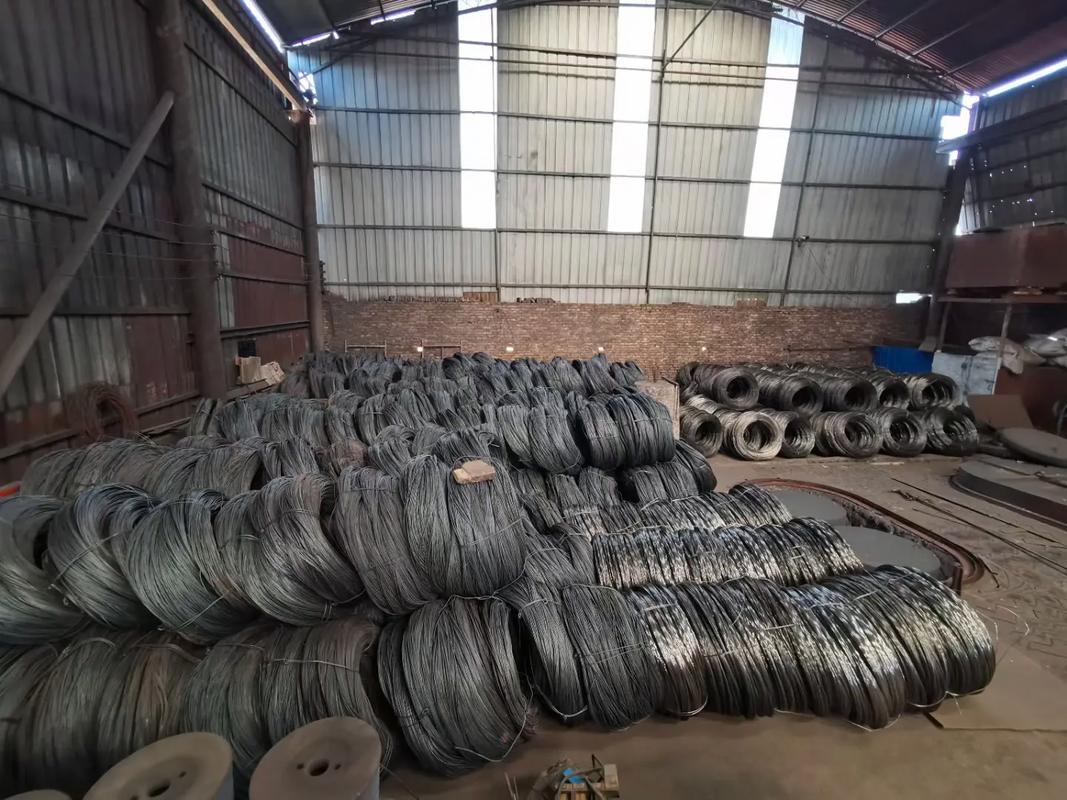 Galvanized Barbed Wire