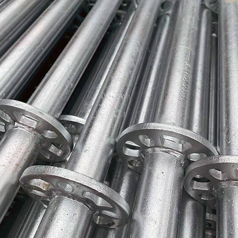 scaffold