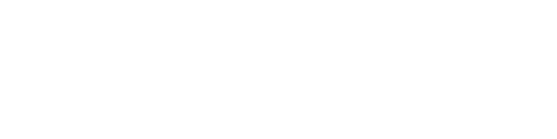 logo2