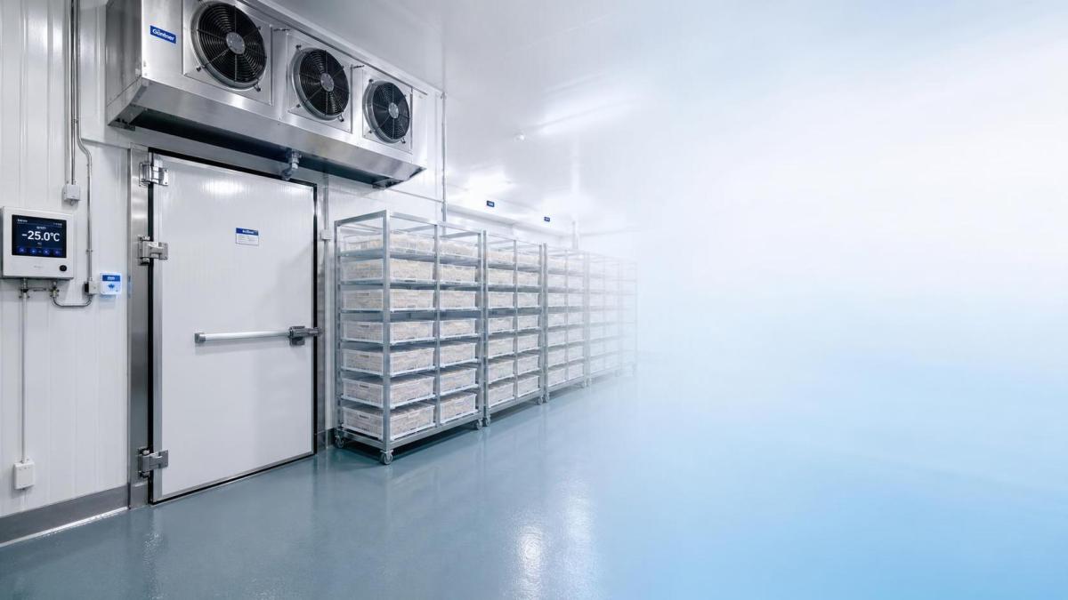 Quelles normes de sécurité alimentaire s’appliquent à une chambre froide de surgélation ?