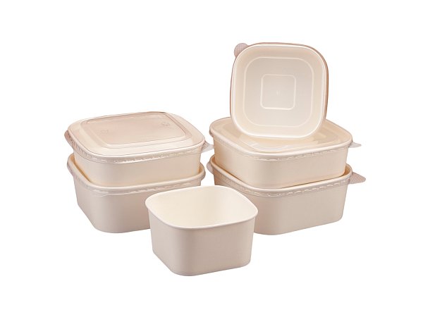 Paper Food Containers with Clear Lids