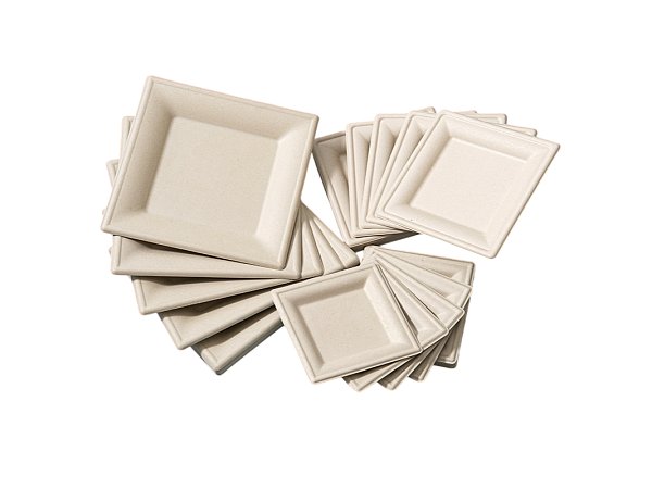 Square Paper Plates