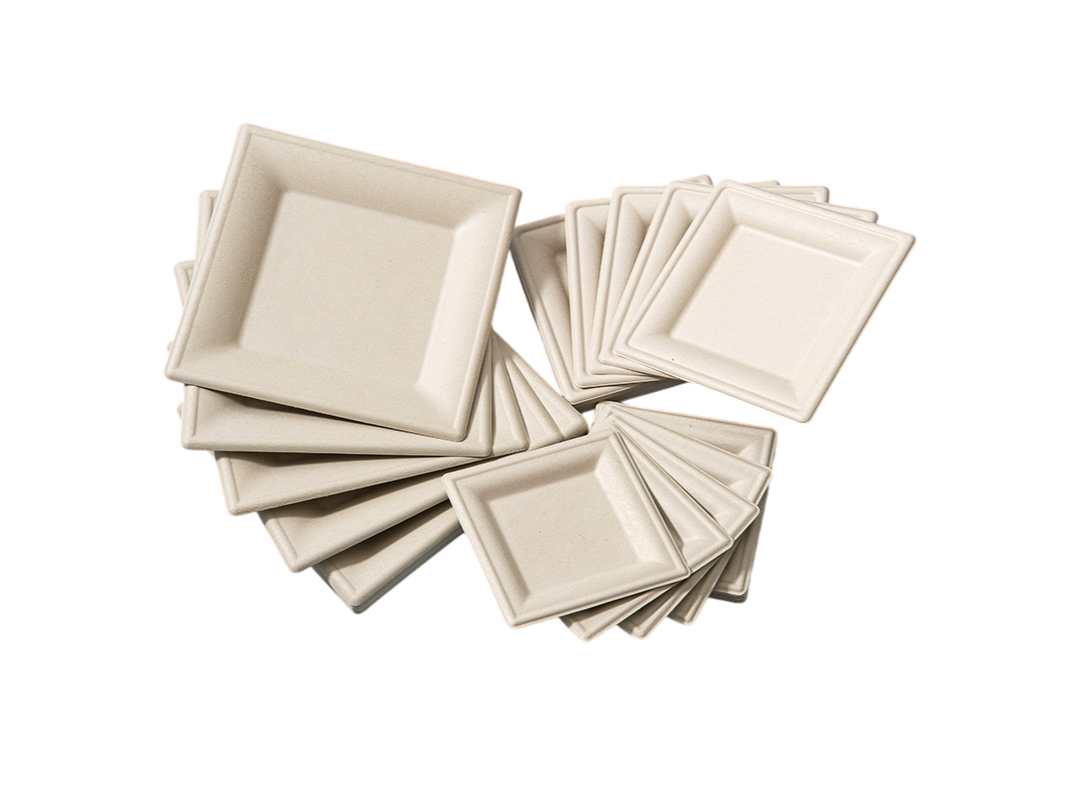 Square Paper Plates