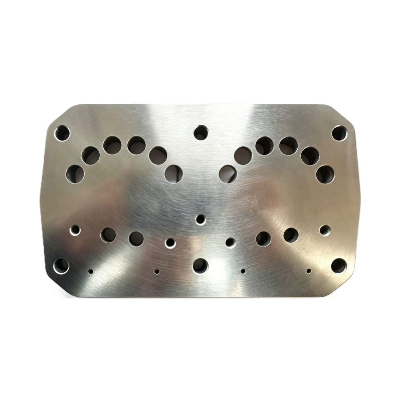 81dk valve plate (rear-side)