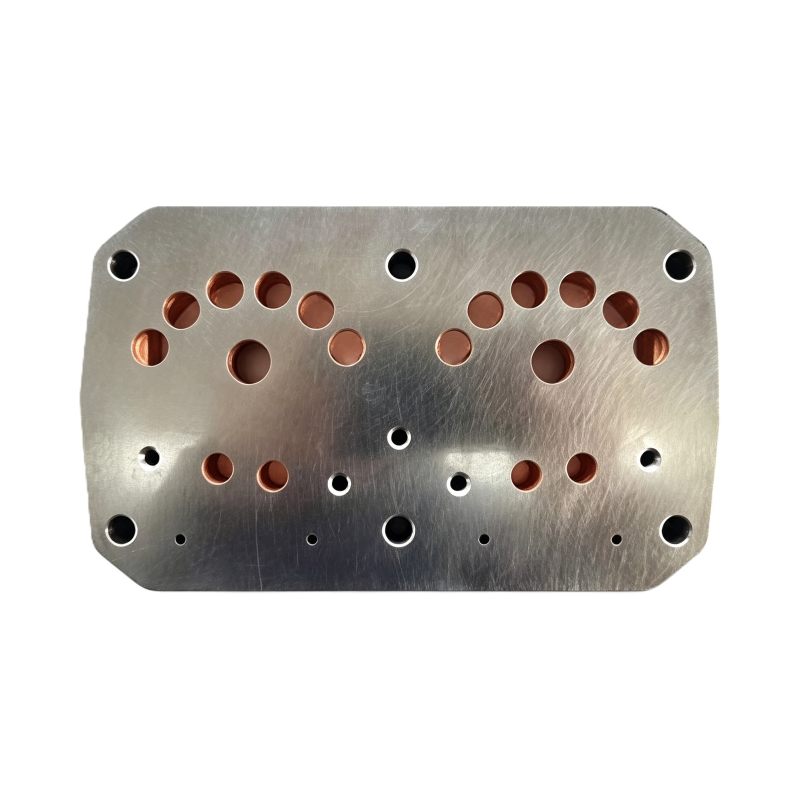 B852 valve plate (rear-side)