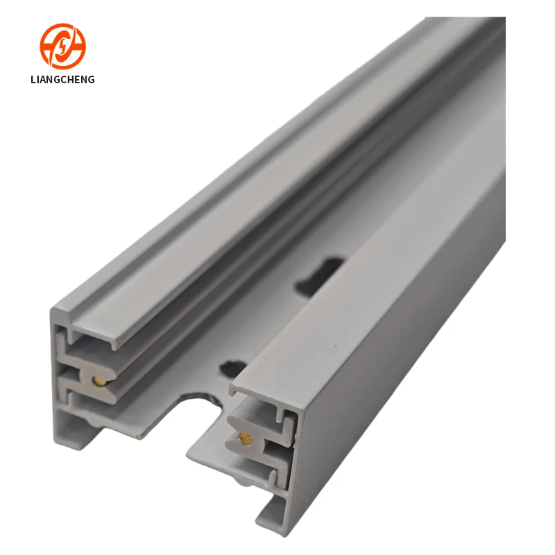 2-Circuit Aluminum Track Rail OEM & ODM Supplier