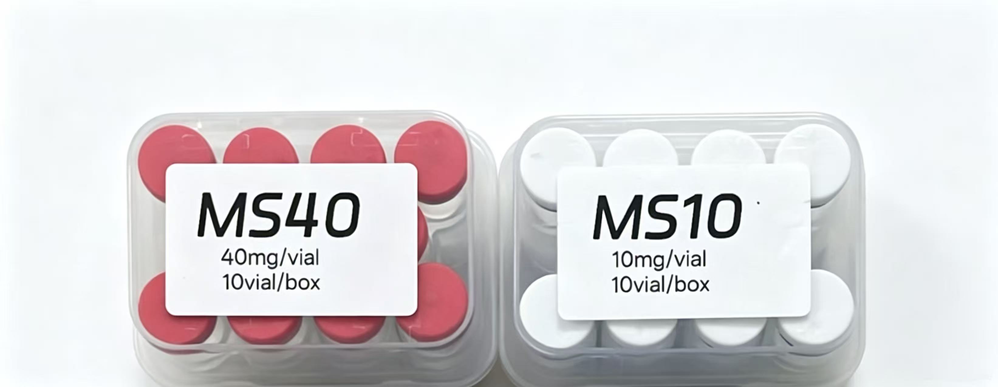 MS40