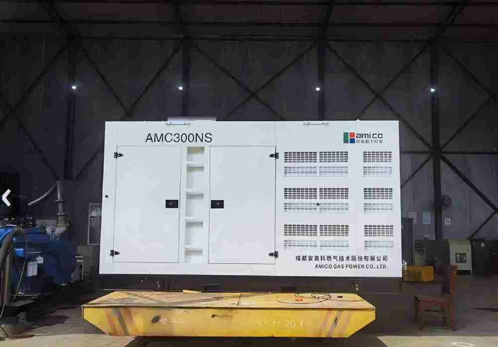 Groupe électrogène à gaz conteneurisé de 300 kW