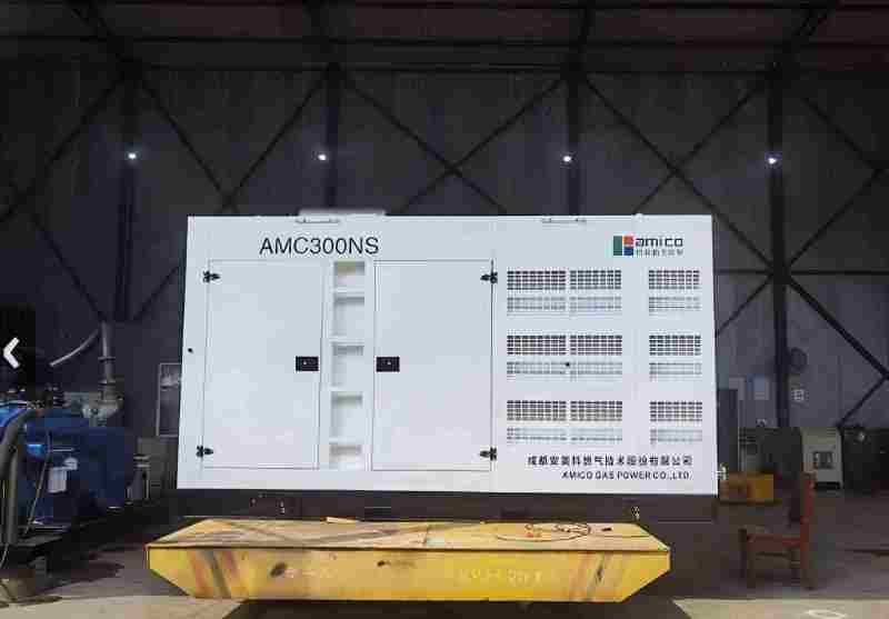 Groupe électrogène à gaz conteneurisé de 300 kW