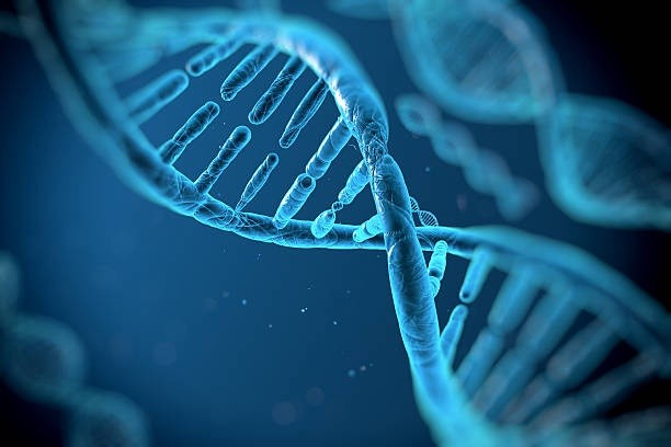 Life Science & R&D Custom Synthesis